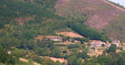 Pin de Bruicedo, A Fonsagrada (Lugo)