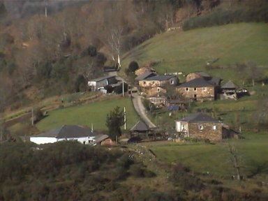 O Pando de Cereixido, A Fonsagrada (Lugo)