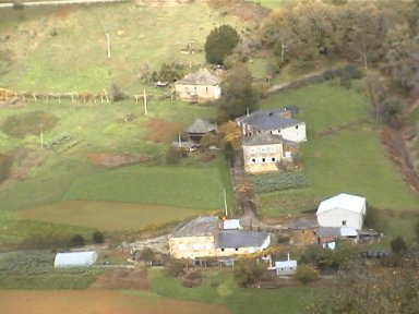 O Pando de Cereixido, A Fonsagrada (Lugo)