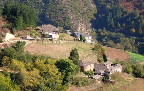 O Touceiro de Cereixido, A Fonsagrada (Lugo)