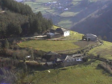 O Touceiro de Cereixido, A Fonsagrada (Lugo)
