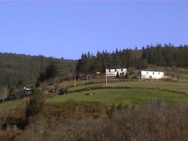 O Touceiro de Cereixido, A Fonsagrada (Lugo)