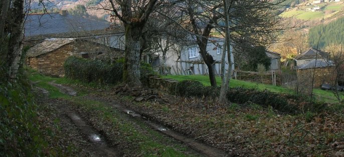 Coto de Lamas de Moreira, A Fonsagrada (Lugo)