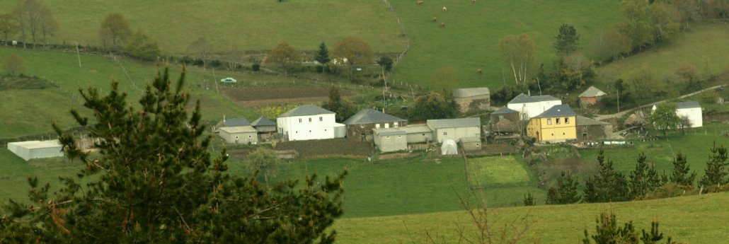 O Rebolin de Vieiro, A Fonsagrada (Lugo)