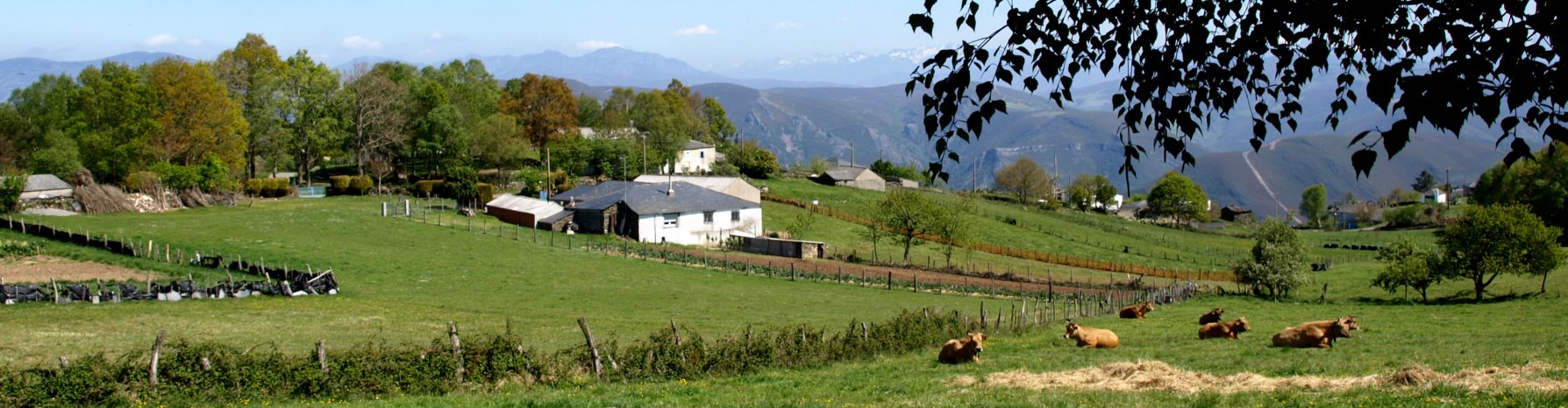 Liñares de Bidul , Vilar da Cuíña, A Fonsagrada (Lugo)